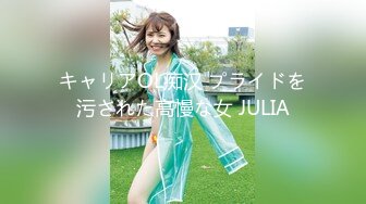 キャリアOL痴汉 プライドを污された高慢な女 JULIA