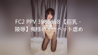 FC2 PPV 3986058 【巨乳・陵辱】俺様のオナペット虐め