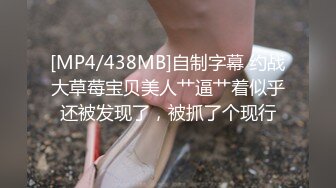 [MP4/438MB]自制字幕 约战大草莓宝贝美人艹逼艹着似乎还被发现了，被抓了个现行