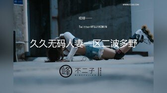 久久无码人妻一区二波多野