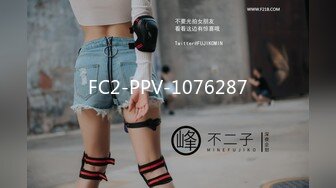 FC2-PPV-1076287