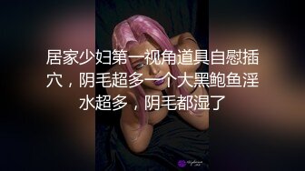 居家少妇第一视角道具自慰插穴，阴毛超多一个大黑鲍鱼淫水超多，阴毛都湿了