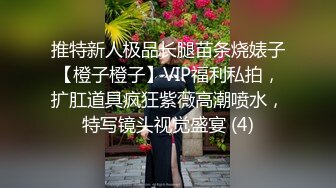 推特新人极品长腿苗条烧婊子【橙子橙子】VIP福利私拍，扩肛道具疯狂紫薇高潮喷水，特写镜头视觉盛宴 (4)