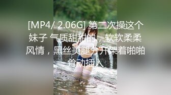 [MP4/ 2.06G] 第二次操这个妹子 气质甜甜的，软软柔柔风情，黑丝美腿分开架着啪啪耸动插入