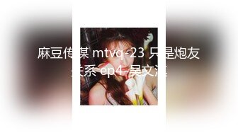 麻豆传媒 mtvq-23 只是炮友关系 ep4-吴文淇