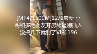 [MP4/1500M]12/1最新 小哥和多毛女友开房舔逼刚插入没搞几下就射了VIP1196