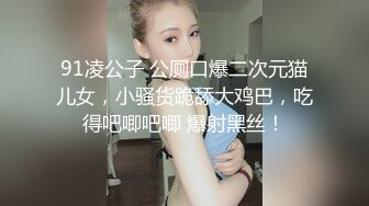 91凌公子 公厕口爆二次元猫儿女，小骚货跪舔大鸡巴，吃得吧唧吧唧 爆射黑丝！