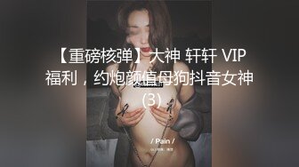 【重磅核弹】大神 轩轩 VIP福利，约炮颜值母狗抖音女神 (3)